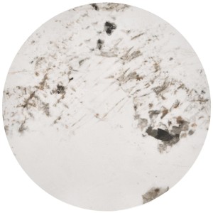 Ława 40 cm - biała - Eniro Meble skrzyniowe