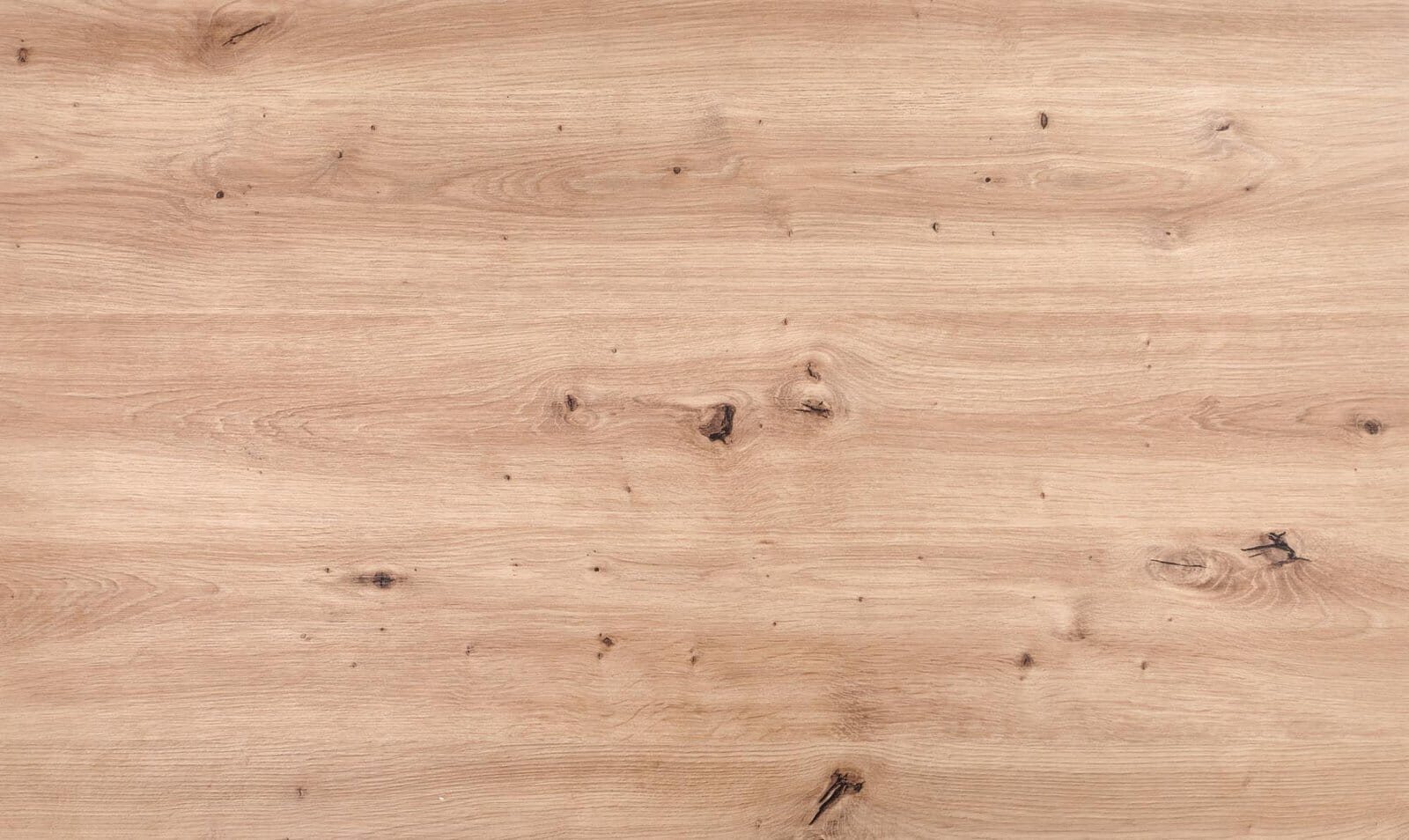 a56d89aeda97327e11256ed14c1aada4